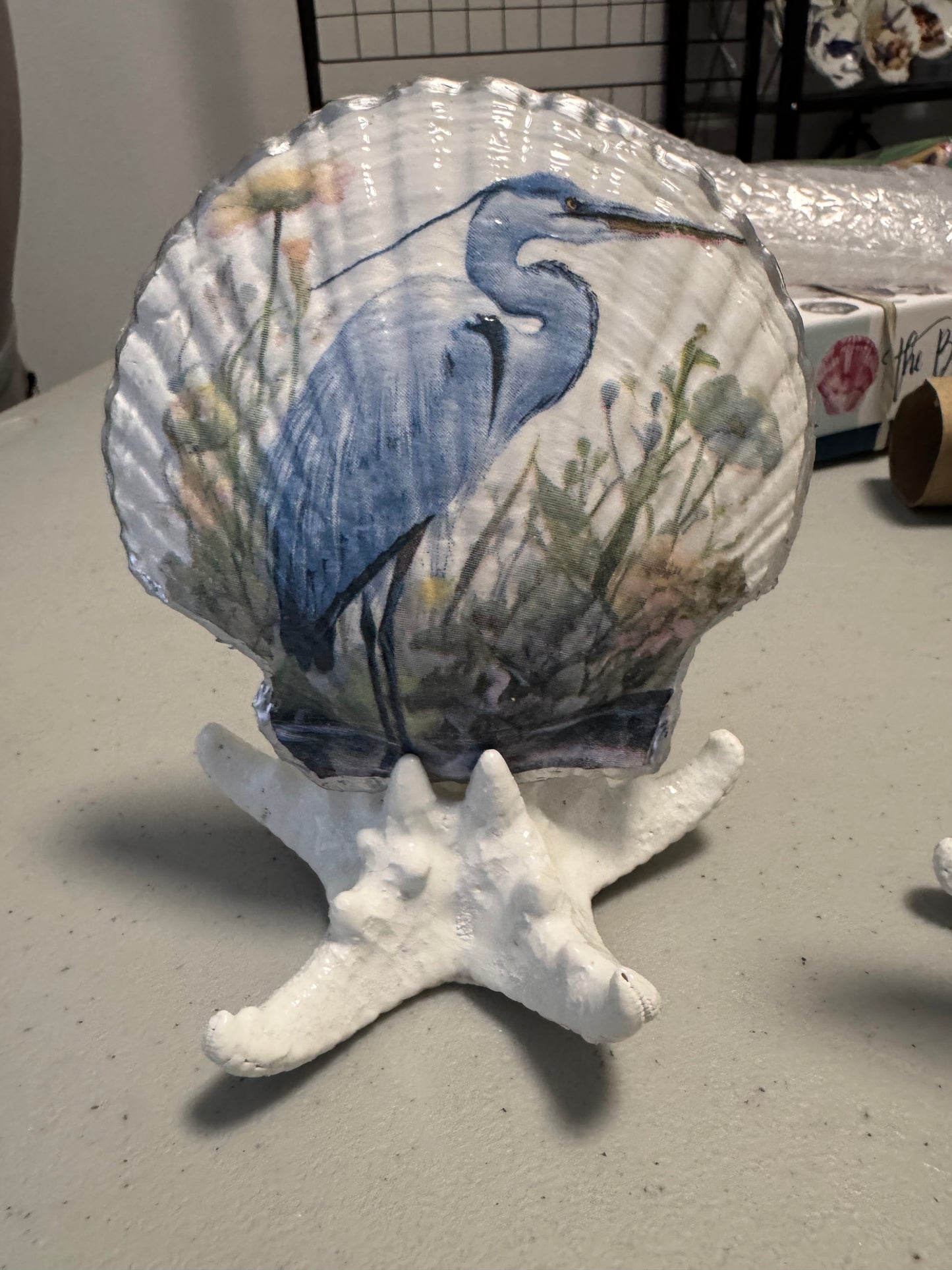Blue heron shell on sea star