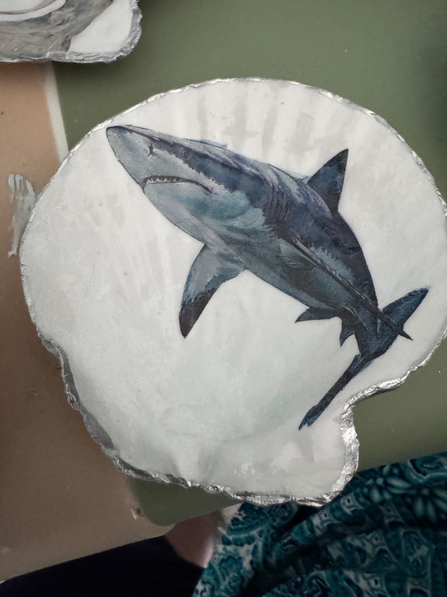 Trinket shell shark