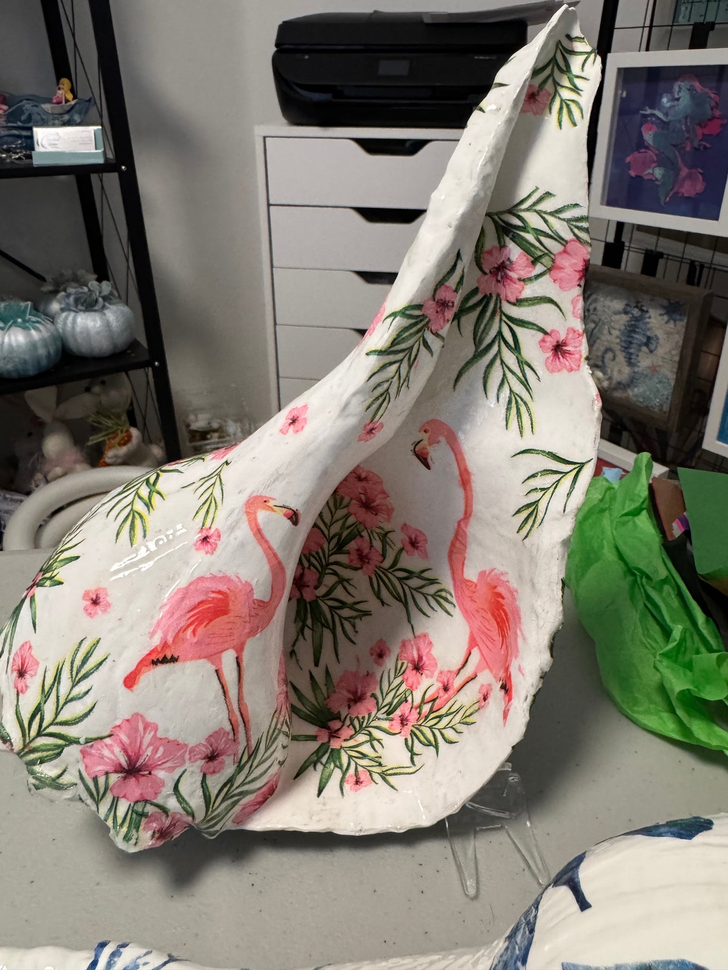 Large flamingo whelk