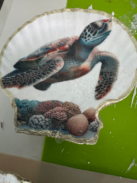Trinket shell temu turtle