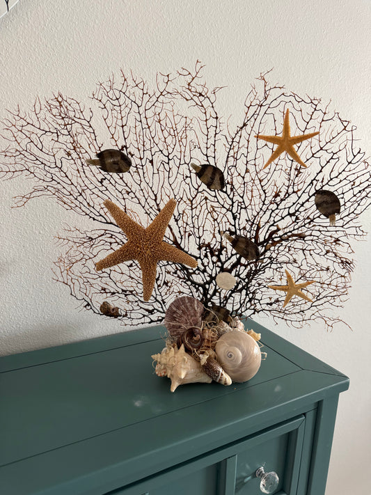 Coral fan decor