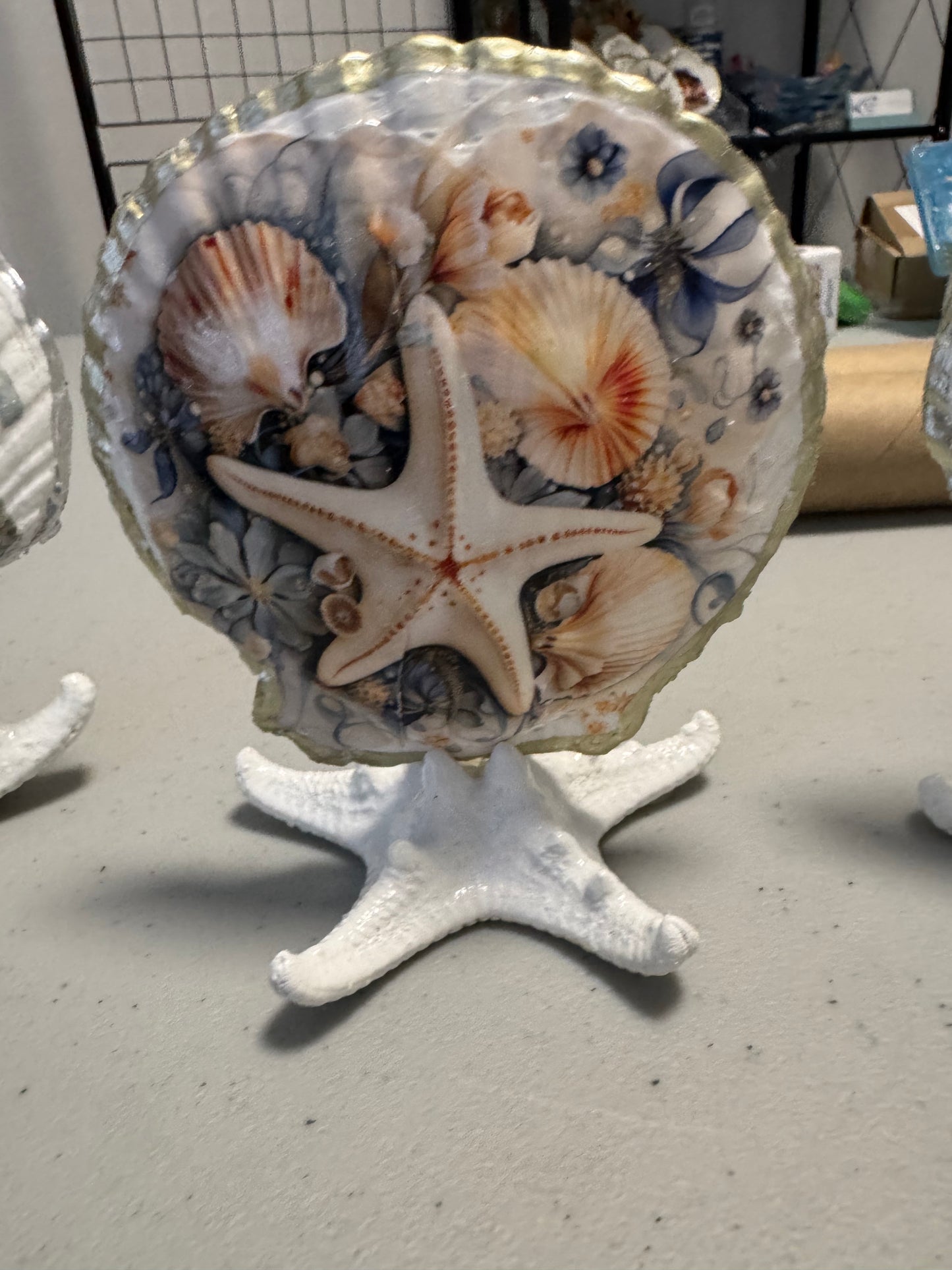 Ocean scene 2 shell on sea star on sea star