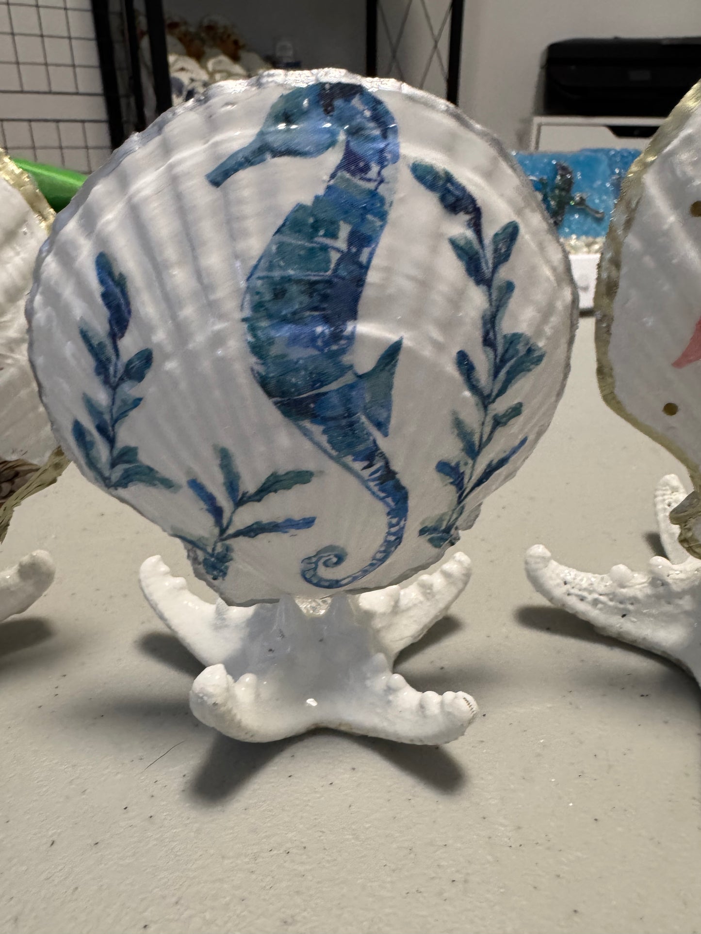 1 seahorse shell on sea star