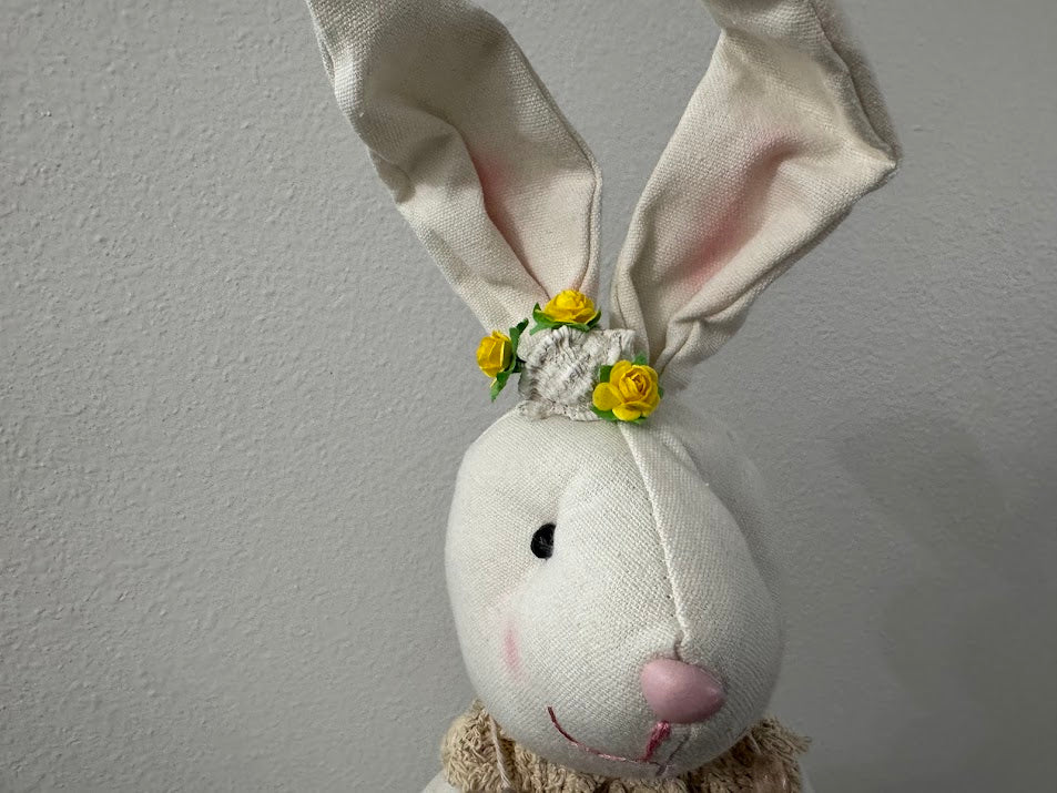 Coastal Rabbit/Bunny
